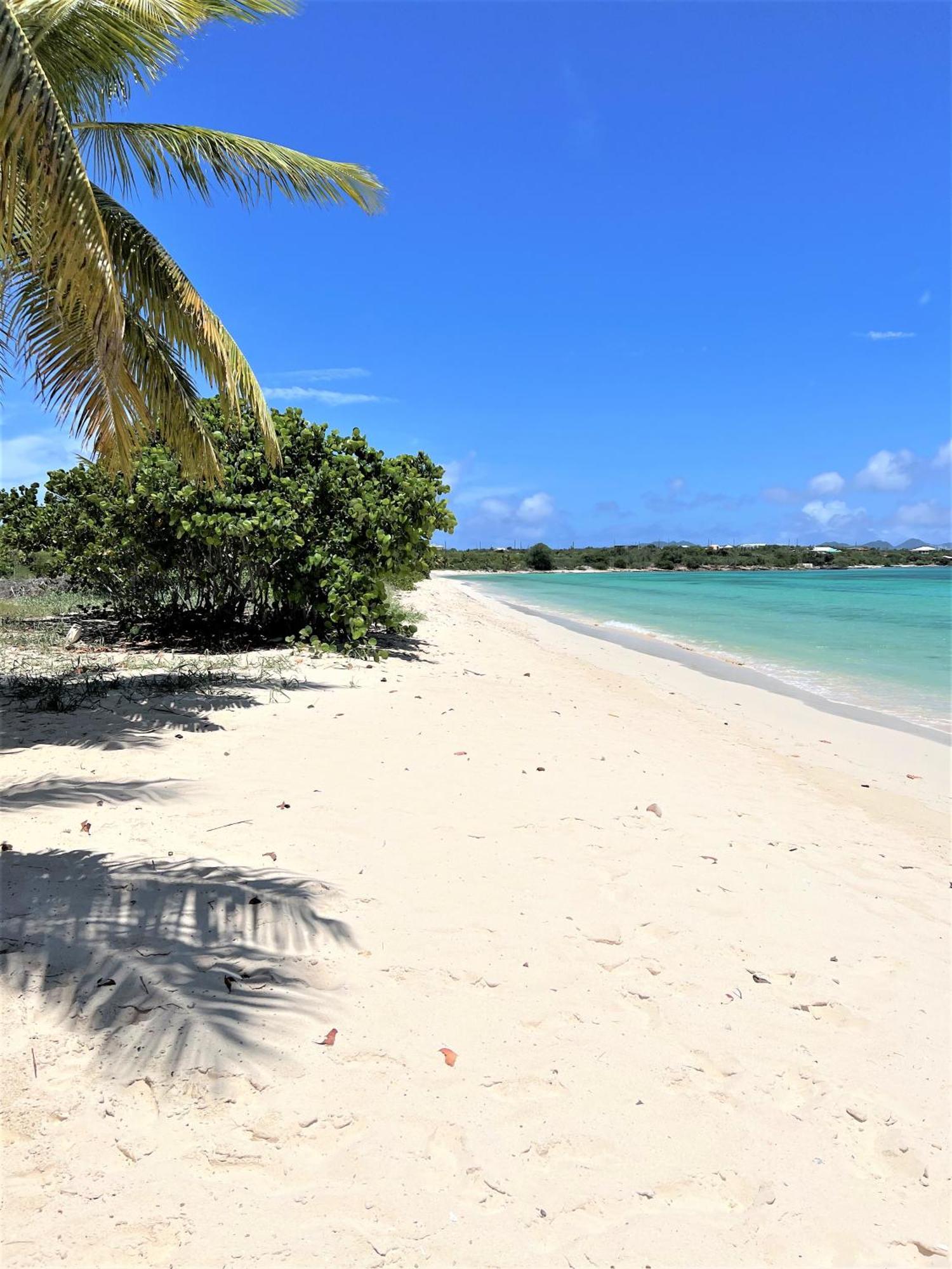 Rendezvous Bay Hotel Lower South Hill Εξωτερικό φωτογραφία